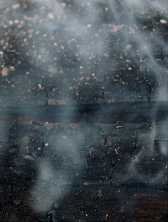 Bartöl für Geschmeidigkeit