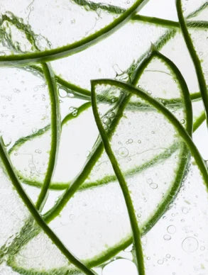 Hydrogel-Augenpads