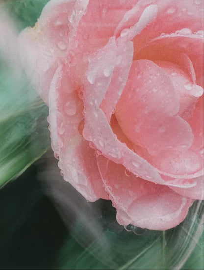 Mineralischer Sonnenschutz SPF 30 für Gesicht und Körper, ohne Tönung