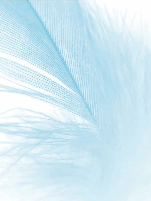 Feuchtigkeitspflege für sensible Haut, ohne Duftstoffe